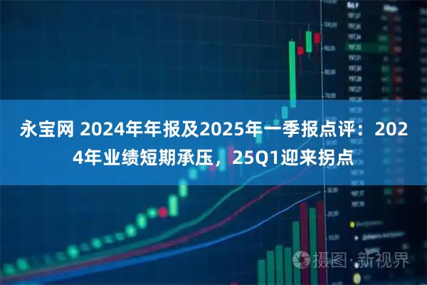 永宝网 2024年年报及2025年一季报点评：2024年业绩短期承压，25Q1迎来拐点