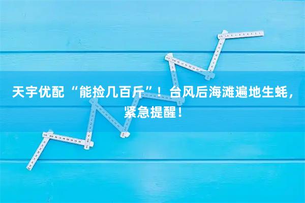 天宇优配 “能捡几百斤”！台风后海滩遍地生蚝，紧急提醒！