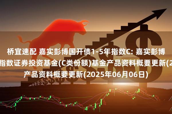 桥宜速配 嘉实彭博国开债1-5年指数C: 嘉实彭博国开行债券1-5年指数证券投资基金(C类份额)基金产品资料概要更新(2025年06月06日)