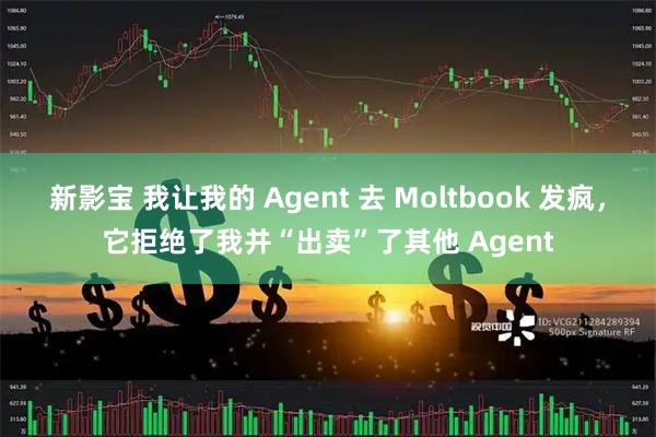 新影宝 我让我的 Agent 去 Moltbook 发疯，它拒绝了我并“出卖”了其他 Agent