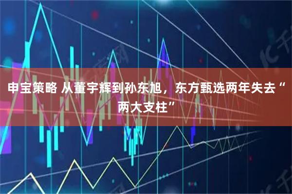 申宝策略 从董宇辉到孙东旭，东方甄选两年失去“两大支柱”