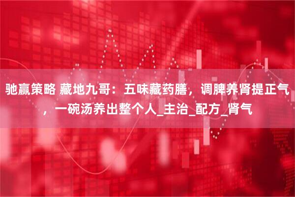 驰赢策略 藏地九哥：五味藏药膳，调脾养肾提正气，一碗汤养出整个人_主治_配方_肾气